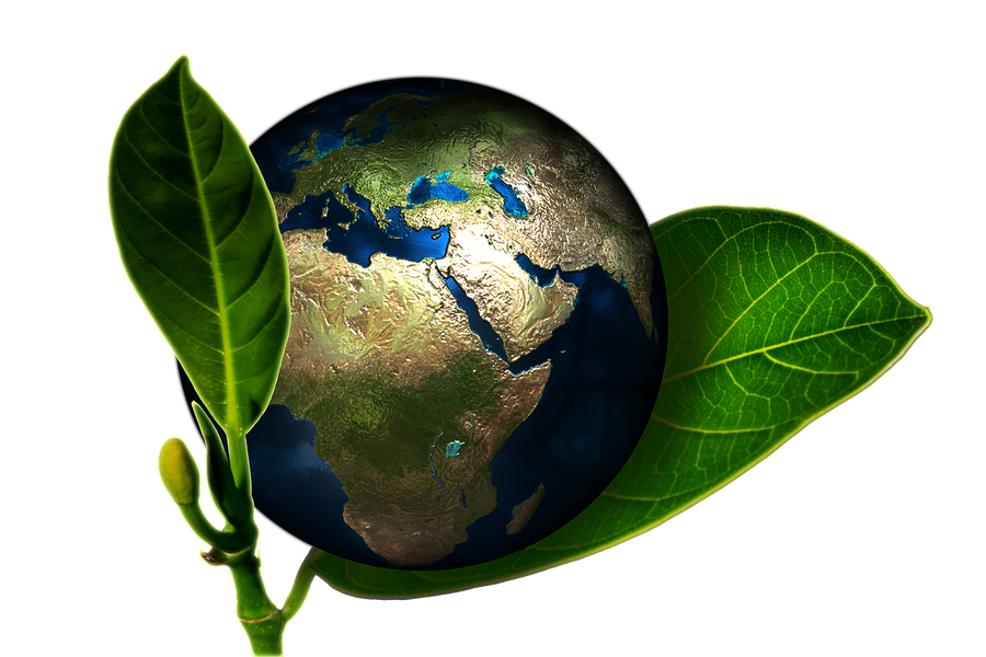 Our promise - saving the planet