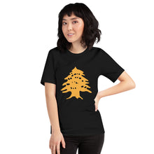 Load image into Gallery viewer, Golden Arz Unisex t-shirt
